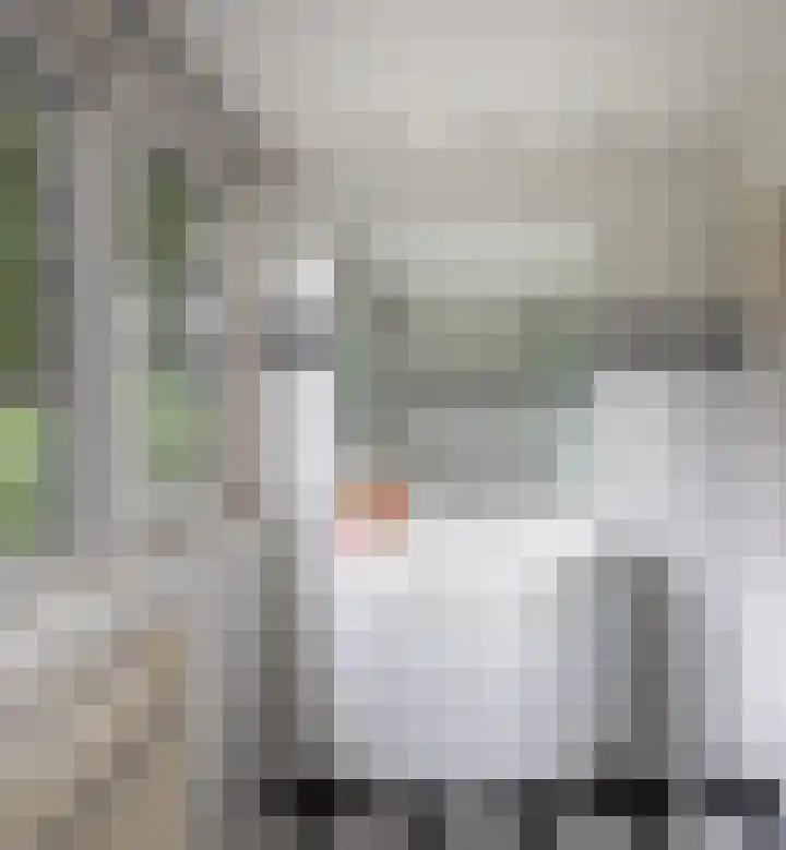 Linnaeuslaan 1 Harderwijk thumbnail 48