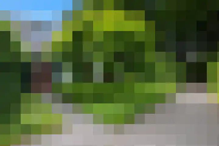 Linnaeuslaan 1 Harderwijk thumbnail 5