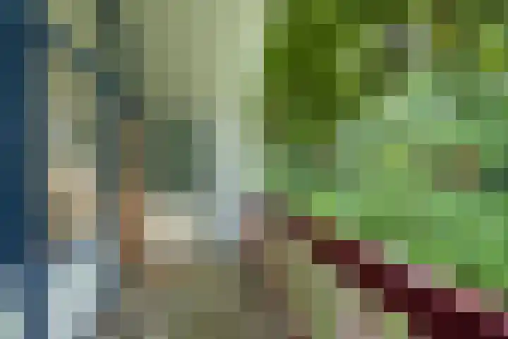 Linnaeuslaan 1 Harderwijk thumbnail 50