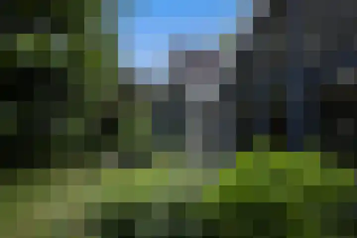 Linnaeuslaan 1 Harderwijk thumbnail 52