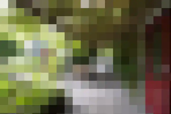 Linnaeuslaan 1 Harderwijk thumbnail 55