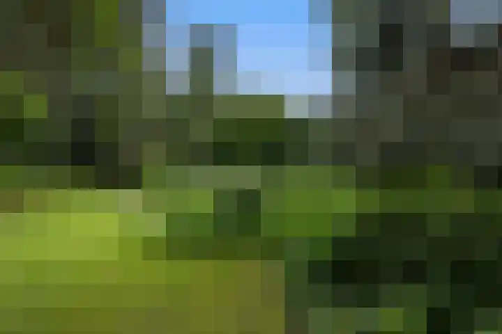 Linnaeuslaan 1 Harderwijk thumbnail 56