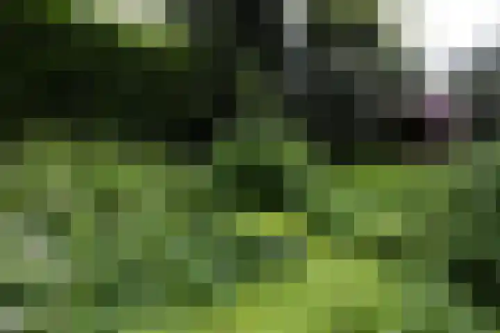 Linnaeuslaan 1 Harderwijk thumbnail 57