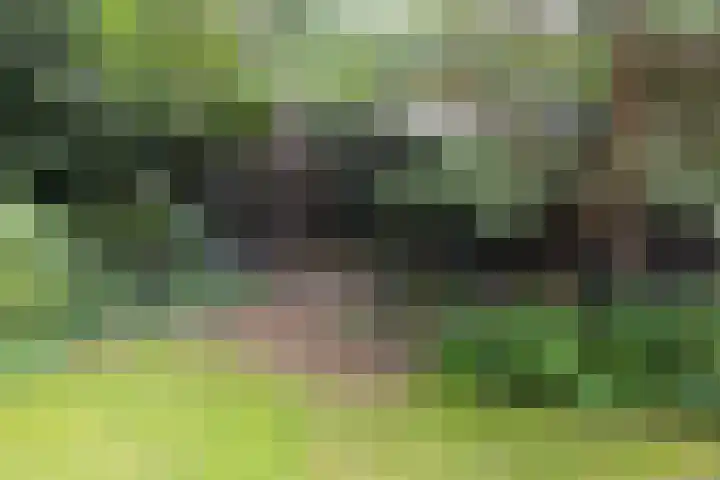 Linnaeuslaan 1 Harderwijk thumbnail 58