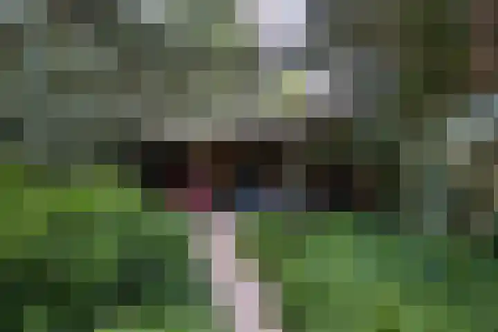 Linnaeuslaan 1 Harderwijk thumbnail 59