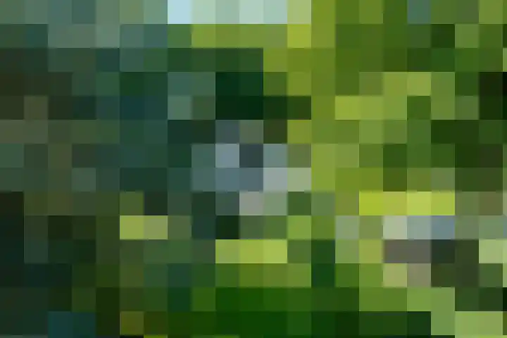 Linnaeuslaan 1 Harderwijk thumbnail 6