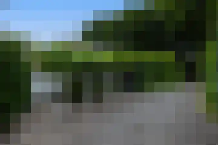 Linnaeuslaan 1 Harderwijk thumbnail 60