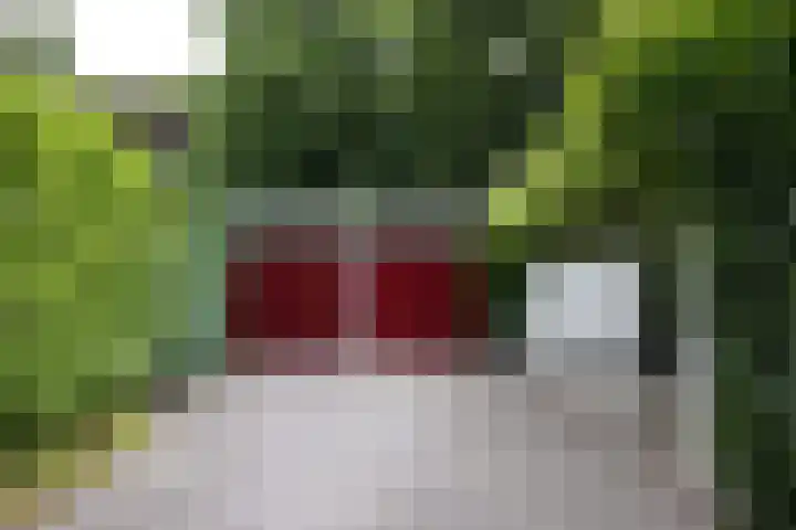 Linnaeuslaan 1 Harderwijk thumbnail 61