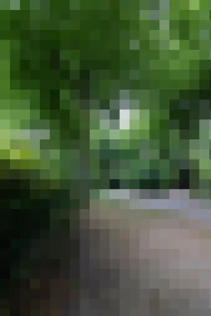 Linnaeuslaan 1 Harderwijk thumbnail 62
