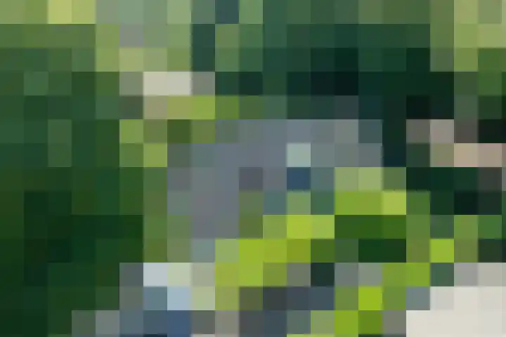 Linnaeuslaan 1 Harderwijk thumbnail 63