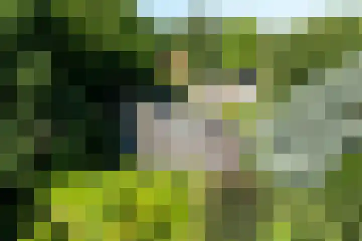 Linnaeuslaan 1 Harderwijk thumbnail 64