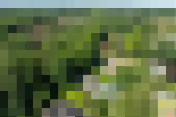 Linnaeuslaan 1 Harderwijk thumbnail 65