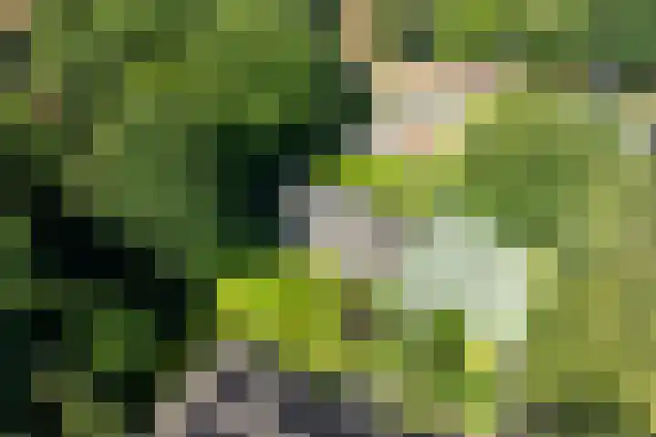 Linnaeuslaan 1 Harderwijk thumbnail 66