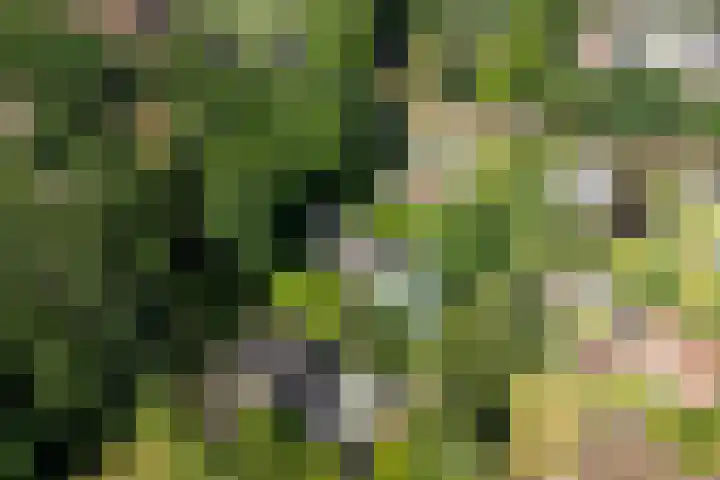 Linnaeuslaan 1 Harderwijk thumbnail 67
