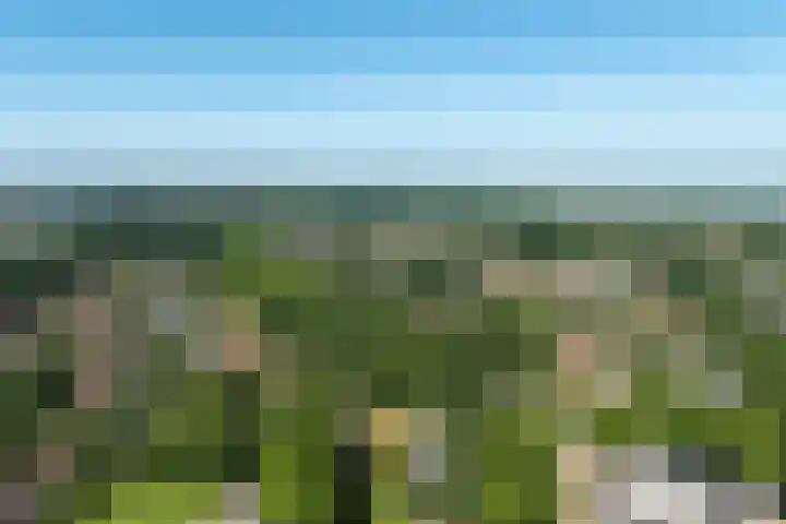 Linnaeuslaan 1 Harderwijk thumbnail 68