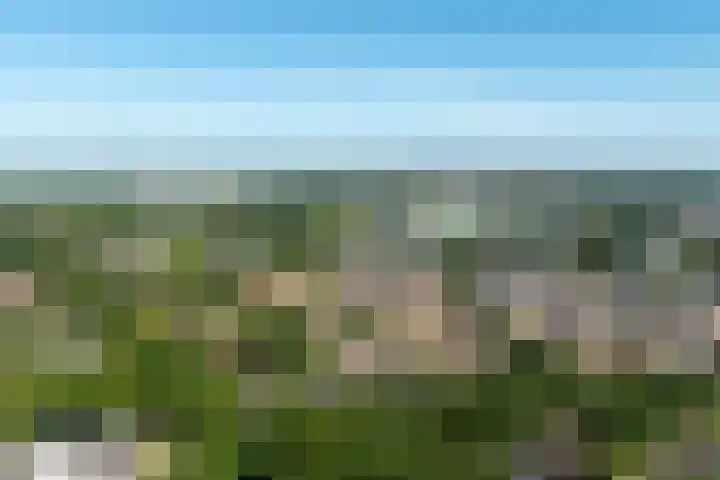 Linnaeuslaan 1 Harderwijk thumbnail 69