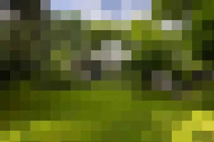 Linnaeuslaan 1 Harderwijk thumbnail 7