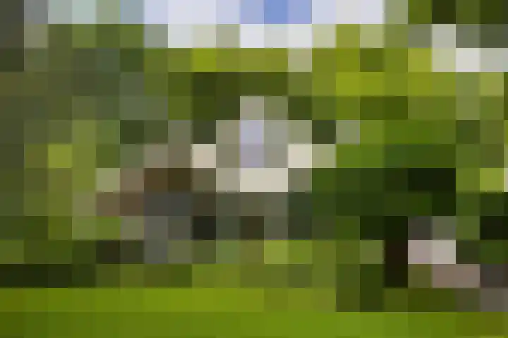 Linnaeuslaan 1 Harderwijk thumbnail 75