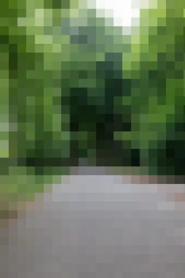 Linnaeuslaan 1 Harderwijk thumbnail 8