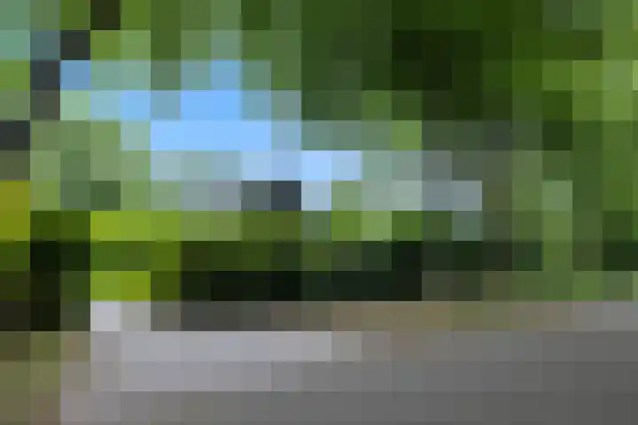 Linnaeuslaan 1 Harderwijk thumbnail 9
