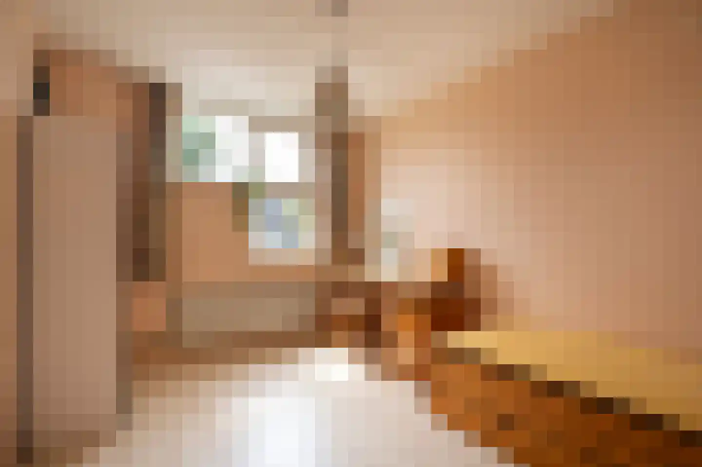 Linnaeuslaan 102 Culemborg thumbnail 19