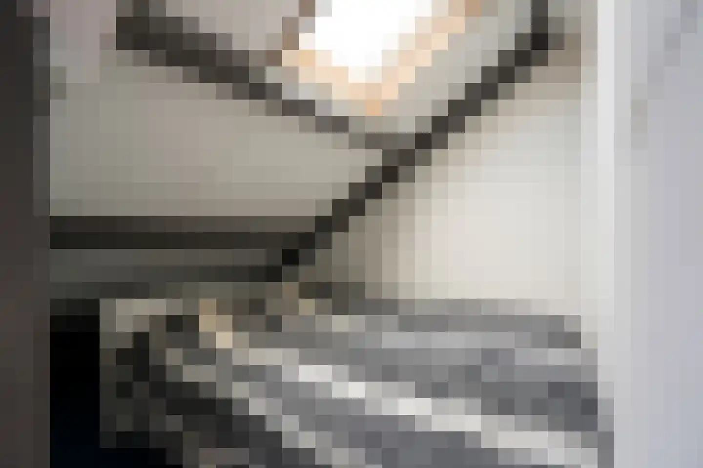 Linnaeuslaan 102 Culemborg thumbnail 34