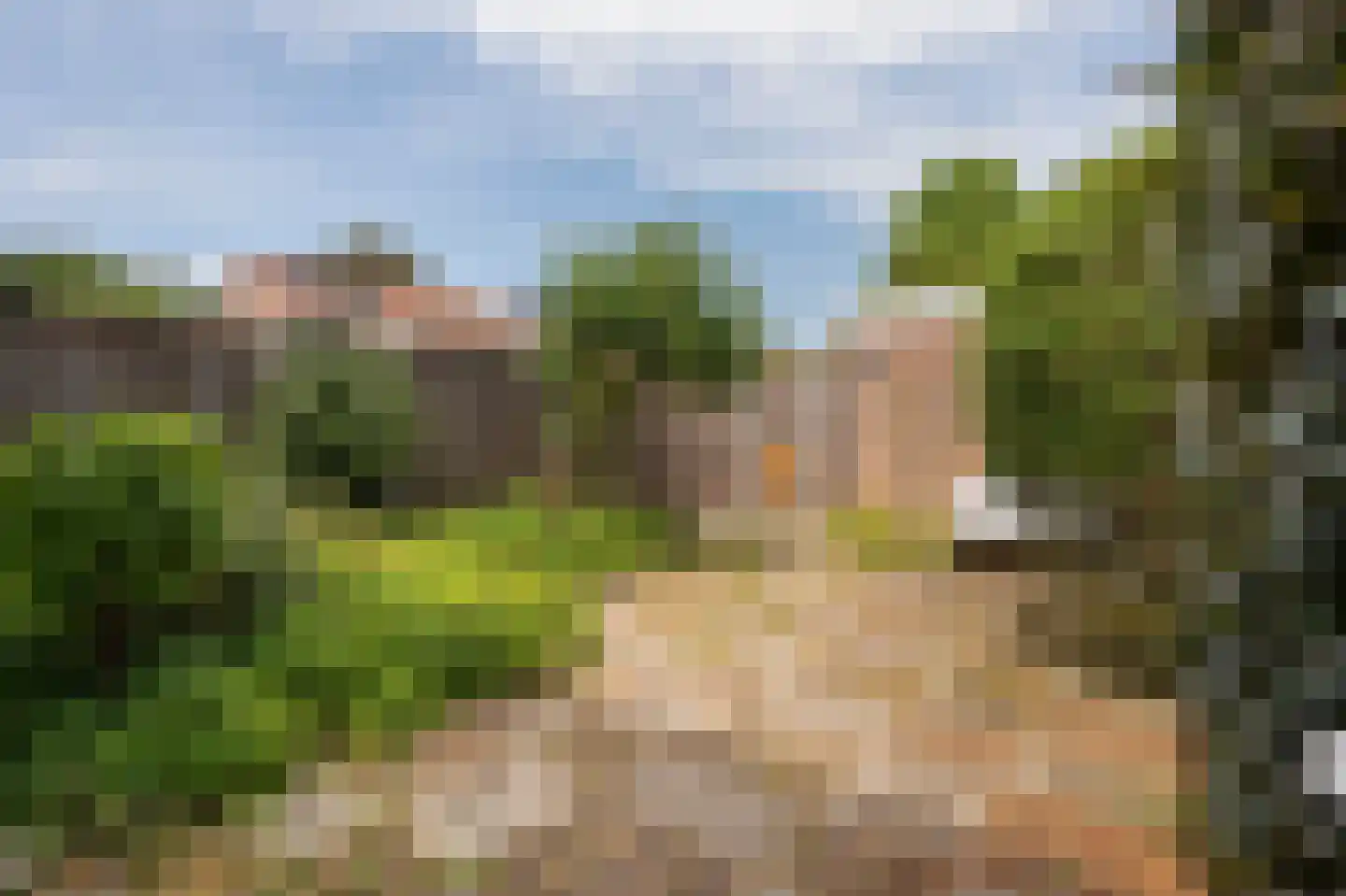 Linnaeuslaan 102 Culemborg thumbnail 38
