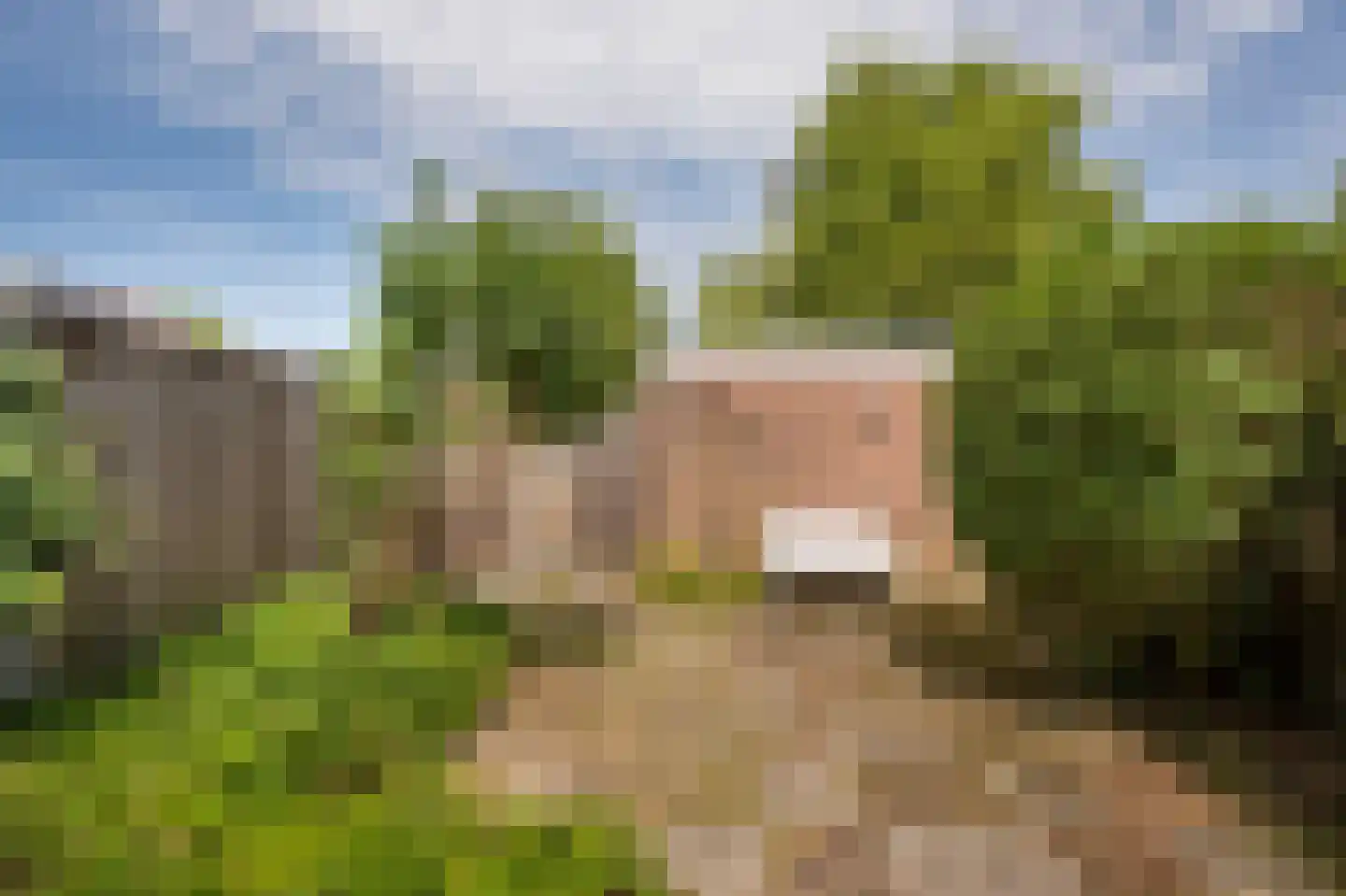 Linnaeuslaan 102 Culemborg thumbnail 39