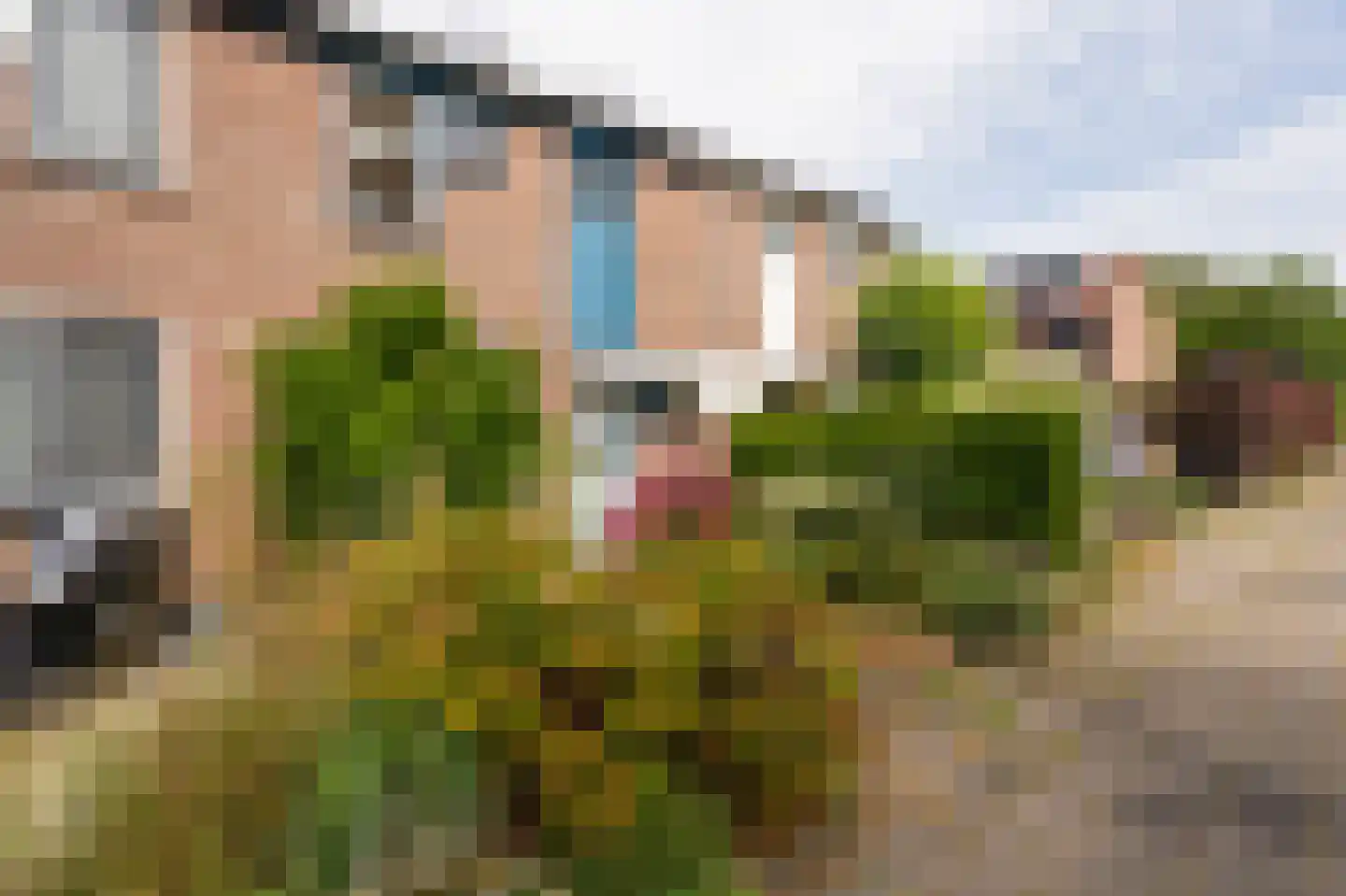 Linnaeuslaan 102 Culemborg thumbnail 4
