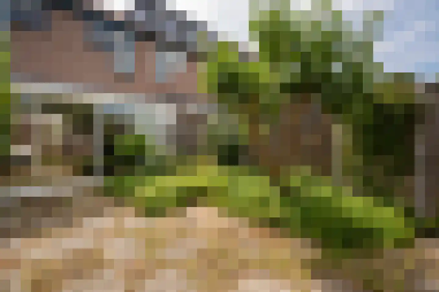 Linnaeuslaan 102 Culemborg thumbnail 40
