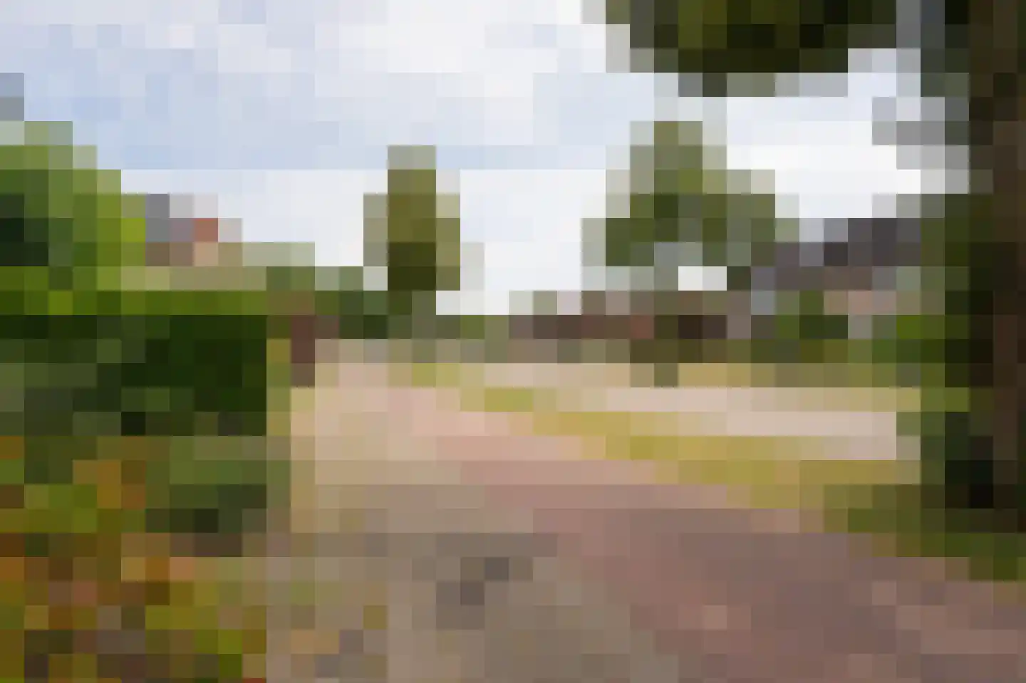 Linnaeuslaan 102 Culemborg thumbnail 45