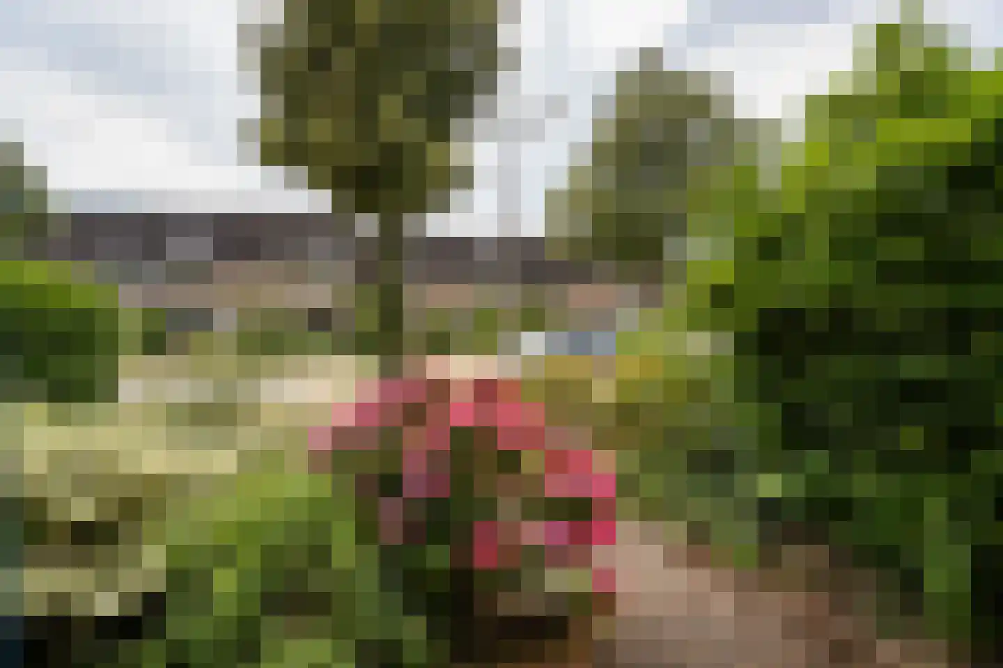 Linnaeuslaan 102 Culemborg thumbnail 46