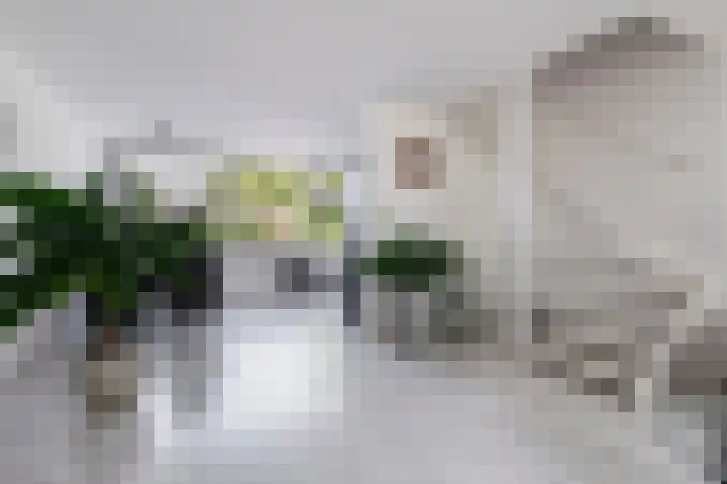 Linnaeuslaan 119 Culemborg thumbnail 10