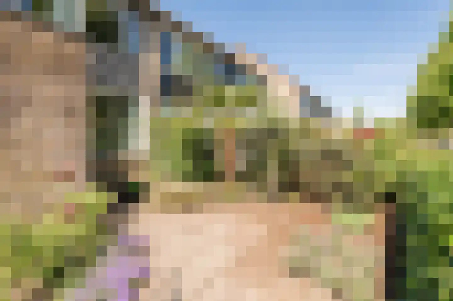 Linnaeuslaan 119 Culemborg thumbnail 34