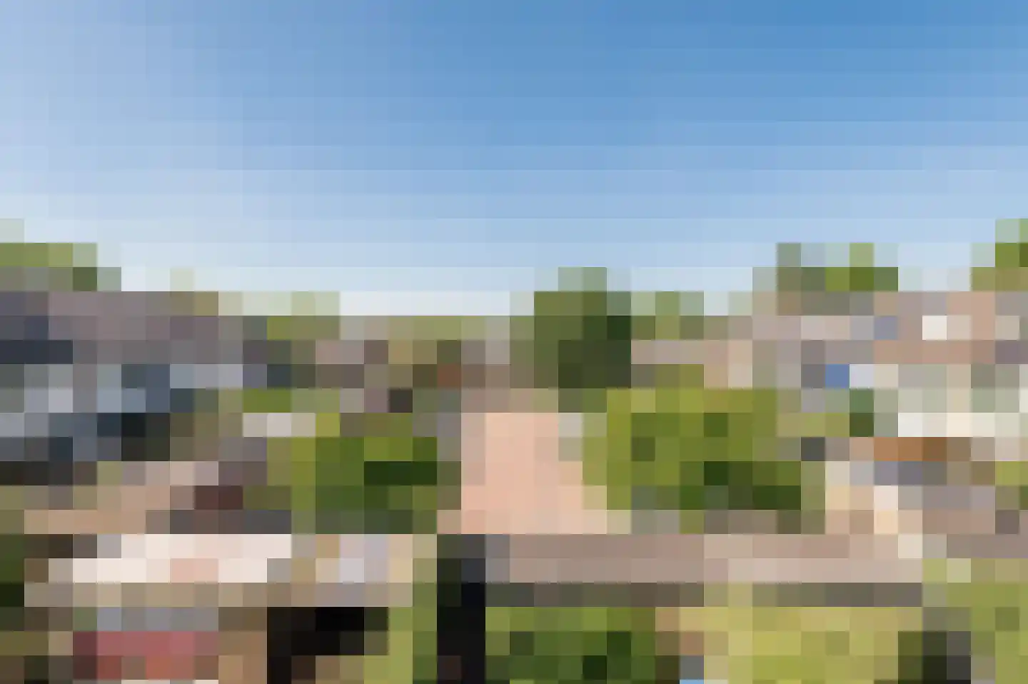 Linnaeuslaan 119 Culemborg thumbnail 35