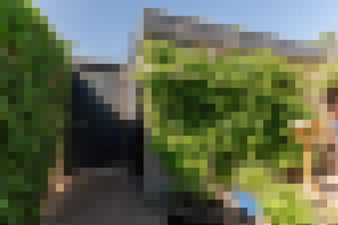 Linnaeuslaan 119 Culemborg thumbnail 38