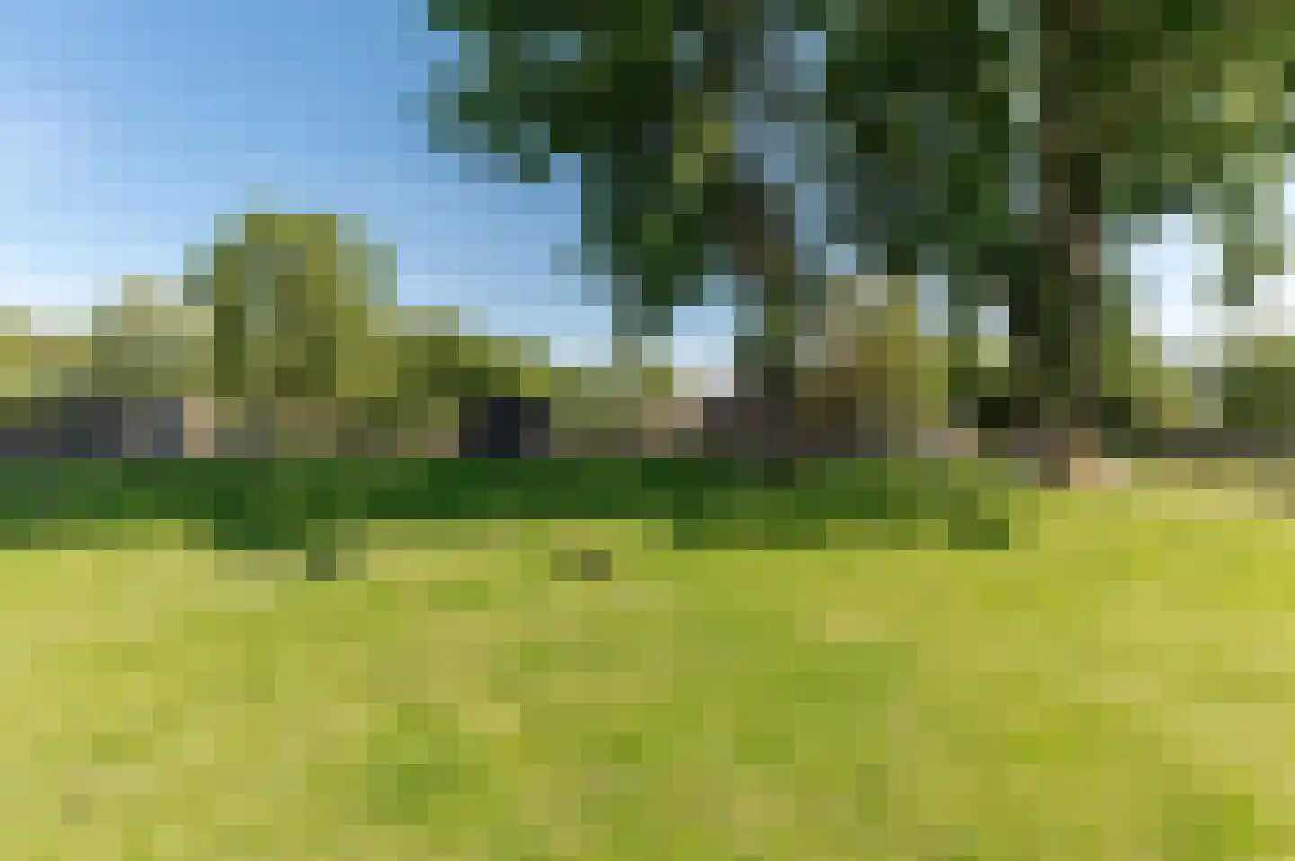 Linnaeuslaan 119 Culemborg thumbnail 40