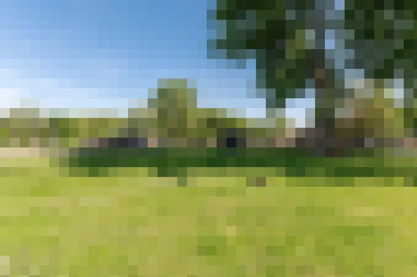 Linnaeuslaan 119 Culemborg thumbnail 41