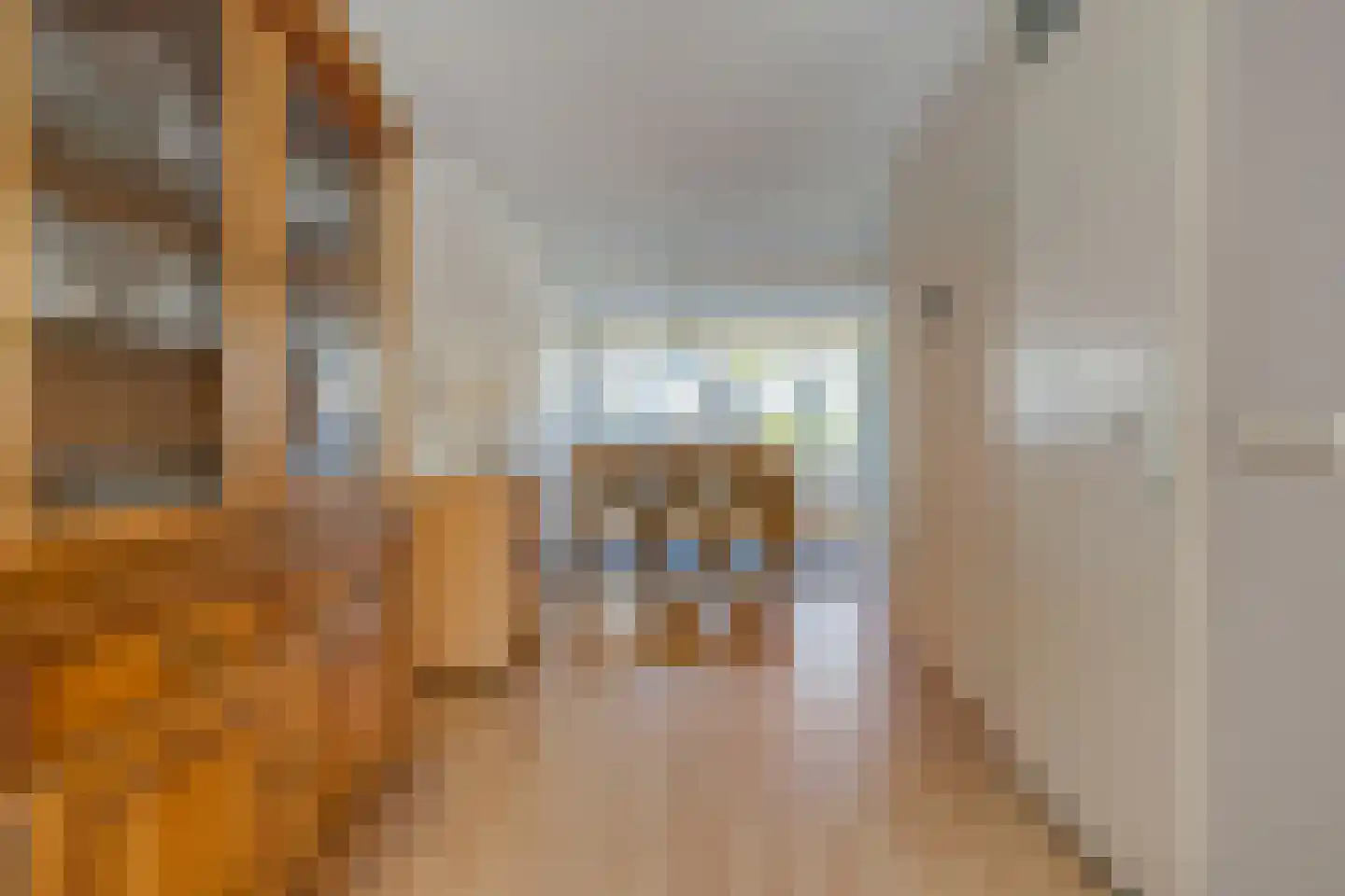 Linnaeuslaan 12 Veenendaal thumbnail 11