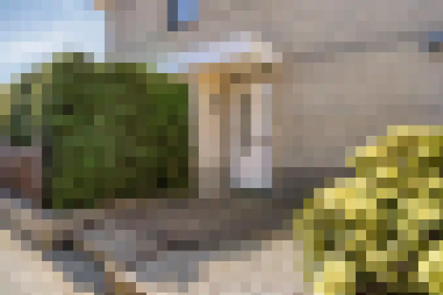 Linnaeuslaan 12 Veenendaal thumbnail 46