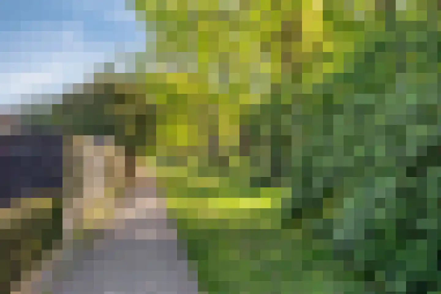 Linnaeuslaan 12 Veenendaal thumbnail 48