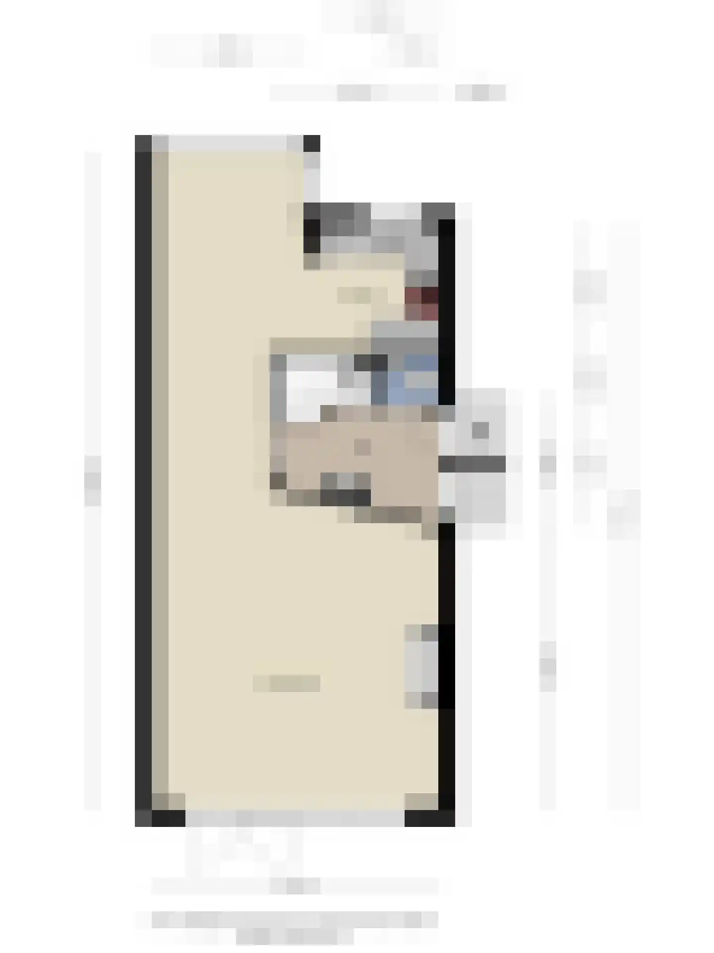 Linnaeuslaan 12 Veenendaal thumbnail 51