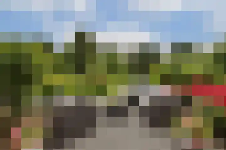 Linnaeuslaan 16 Aalsmeer thumbnail 12