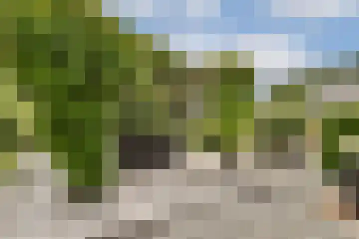 Linnaeuslaan 16 Aalsmeer thumbnail 13