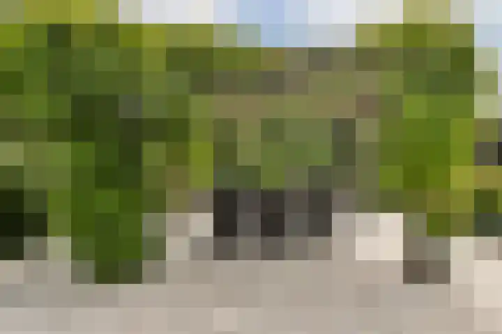 Linnaeuslaan 16 Aalsmeer thumbnail 14