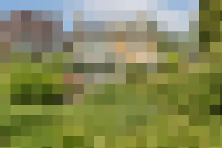 Linnaeuslaan 16 Aalsmeer thumbnail 16