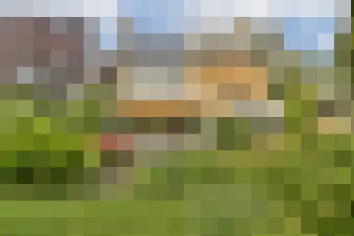 Linnaeuslaan 16 Aalsmeer thumbnail 17