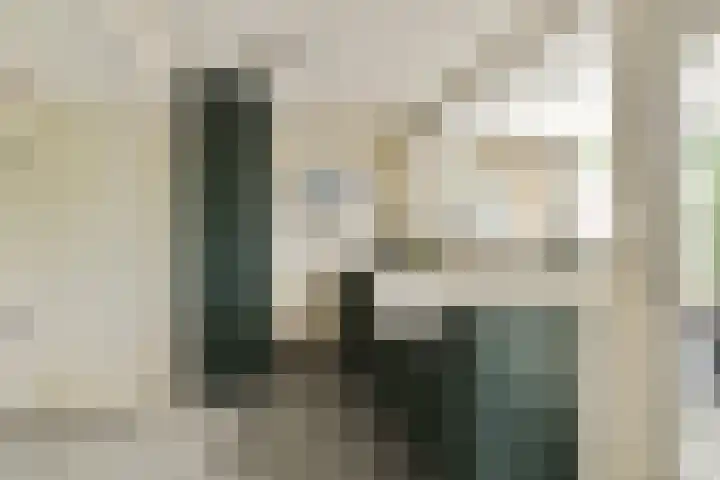 Linnaeuslaan 16 Aalsmeer thumbnail 18