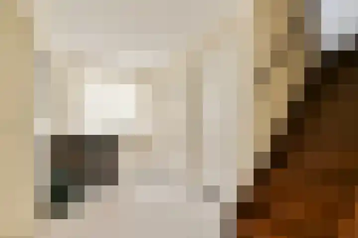 Linnaeuslaan 16 Aalsmeer thumbnail 23