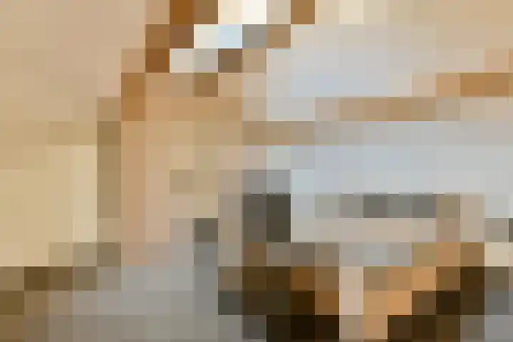 Linnaeuslaan 16 Aalsmeer thumbnail 33